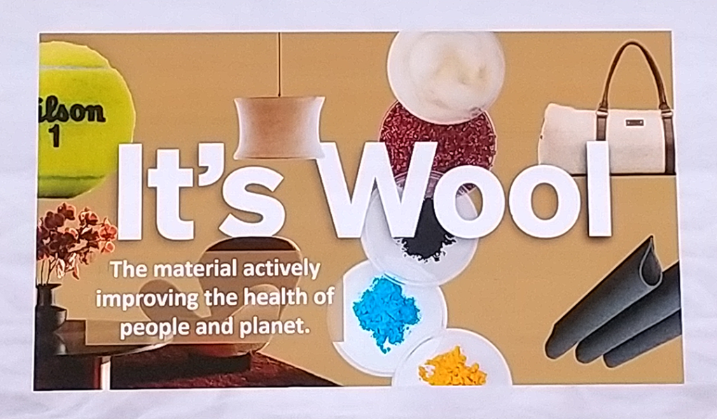 2_wool1